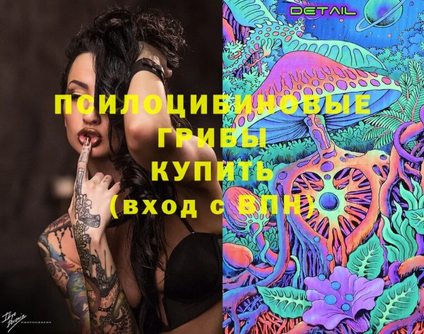 мдпв Зеленодольск