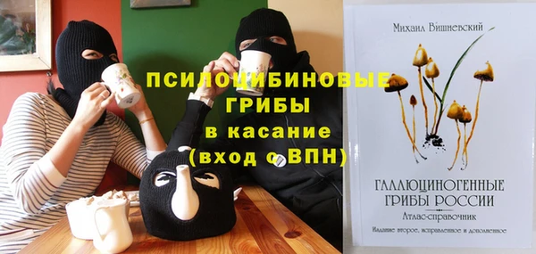 молекула духа Зеленокумск