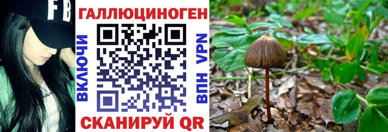 Купить где  Лысково  Галлюциногенные грибы мицелий 